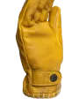 Coyote Gloves - John Doe
