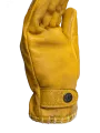 Coyote Gloves - John Doe