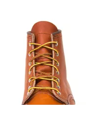 Lacet Taslan Tan/Gold - Red Wing
