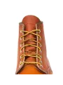 Lacet Taslan Tan/Gold - Red Wing