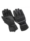 Gants Pro Artic