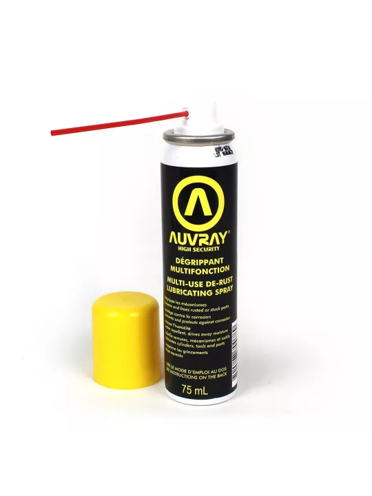 SPRAY MULTI DEGRIPPANT 75 ml - AUVRAY
