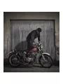 Jean Greasy Selvedge - Fuel